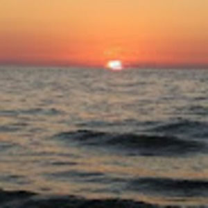 Meet your Posher, Richard